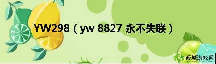 yw 跳转接口永不失联的来源：稳定可靠的连接保障