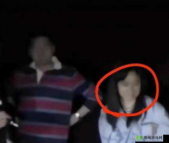 孙美琪疑案：故事工地分尸案攻略