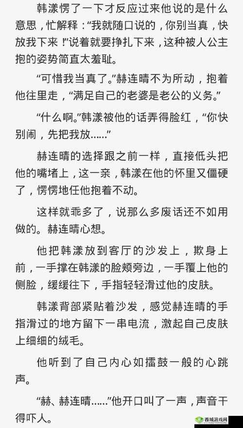 车速超高废文的双男主：刺激追逐