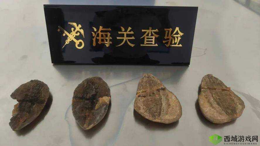 成全网站源码入口隐藏通道：神秘面纱待揭开