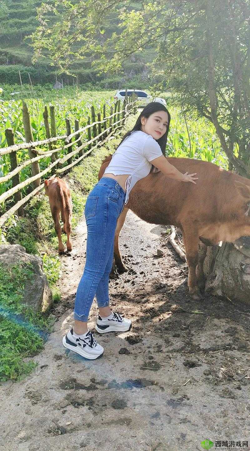 美女户外勾搭放牛老头视频在线：惊世勾搭引发热议