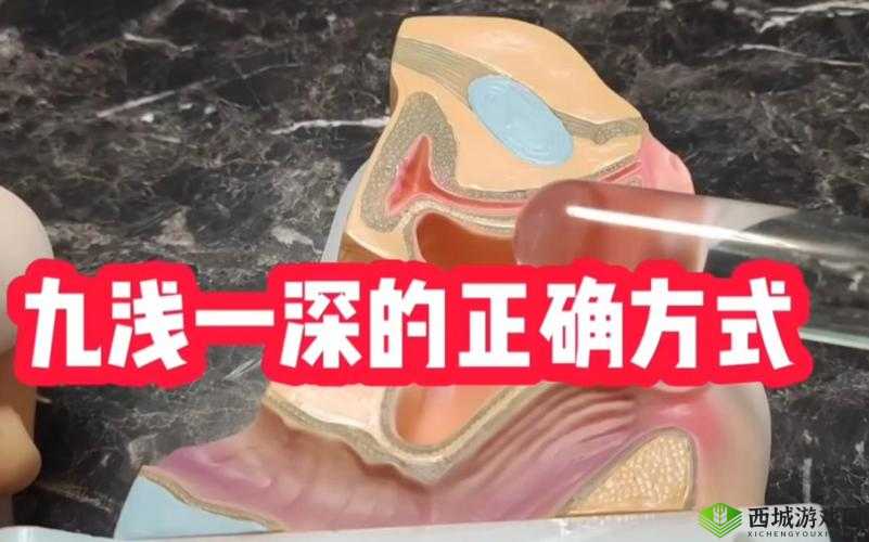 九浅一深正确使用方法详解