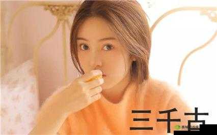 乱码 A 区 D 区 C 区：神秘现象之探究