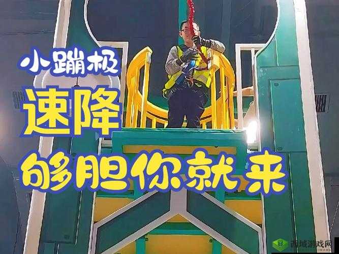 夜已深，来点刺激的：挑战心跳极限的深夜节目