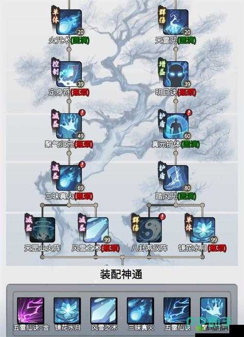 一念逍遥体修神通选择推荐,资源管理的艺术
