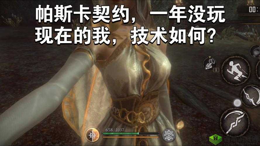 帕斯卡契约,揭秘骨粒速刷的高效秘籍