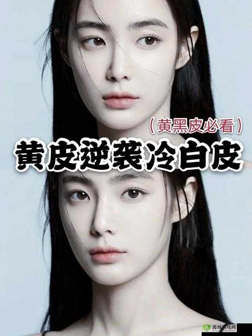 w.w.w 黄皮的独特魅力与精彩故事探讨