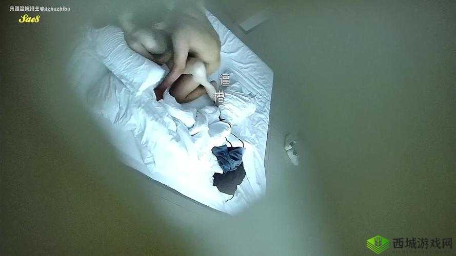最新熟女视频:插入熟女逼逼败火,让你欲罢不能
