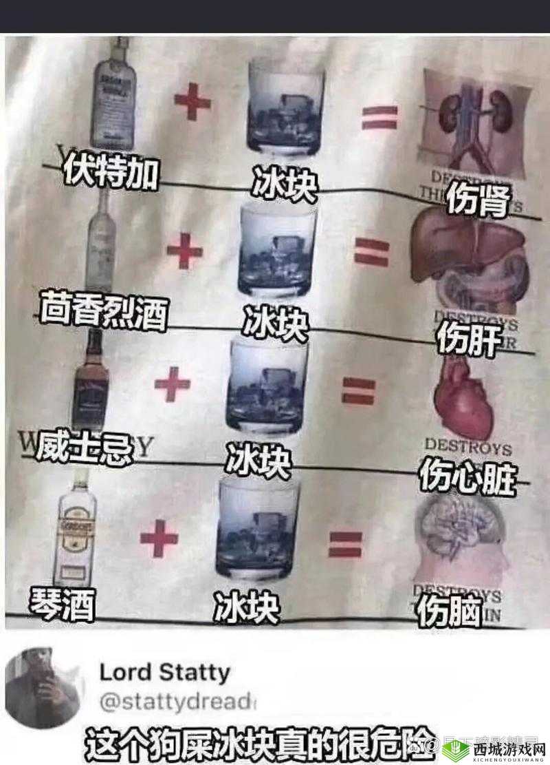 CCGG51CT 吃瓜:带你走进精彩的吃瓜世界探秘