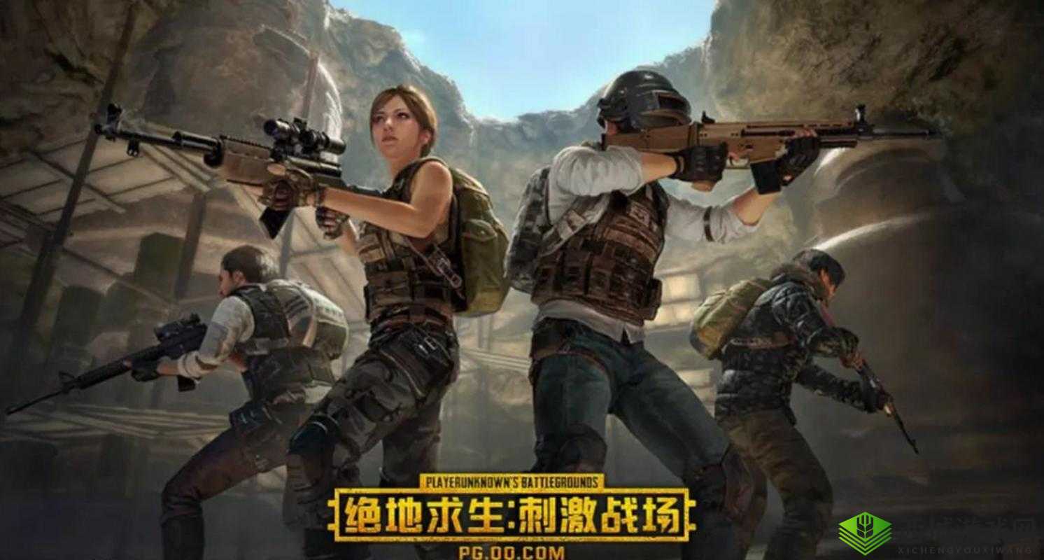 绝地求生刺激战场，野外作战的艺术与策略