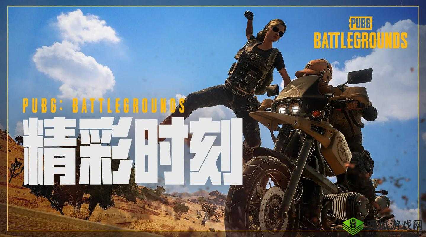 绝地求生全军出击遇见幻影坦克，资源管理中的独特体验与价值最大化