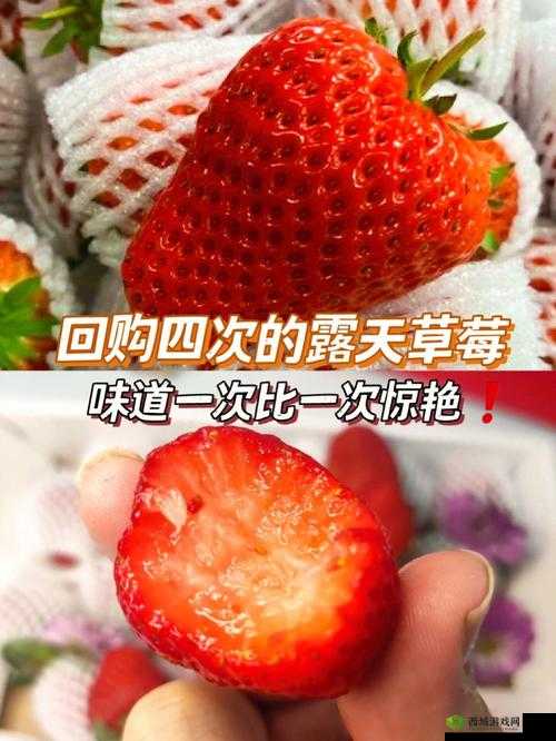 迈开腿吃草莓方法:探索独特的草莓品尝与运动结合之道
