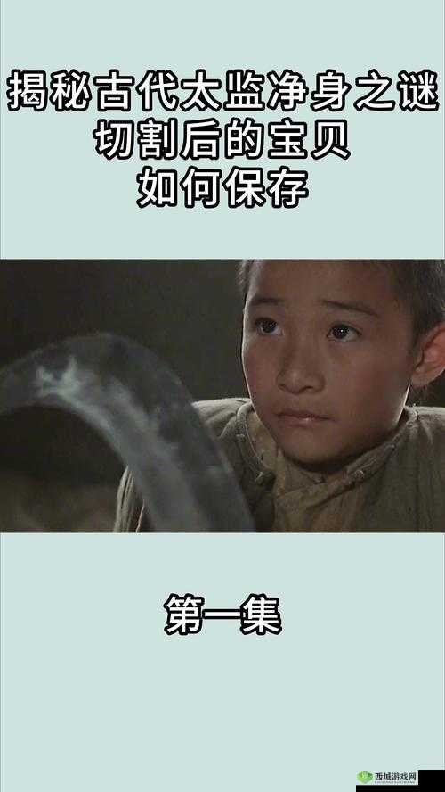 大侠速成指南第28关揭秘，智破太监身份之谜