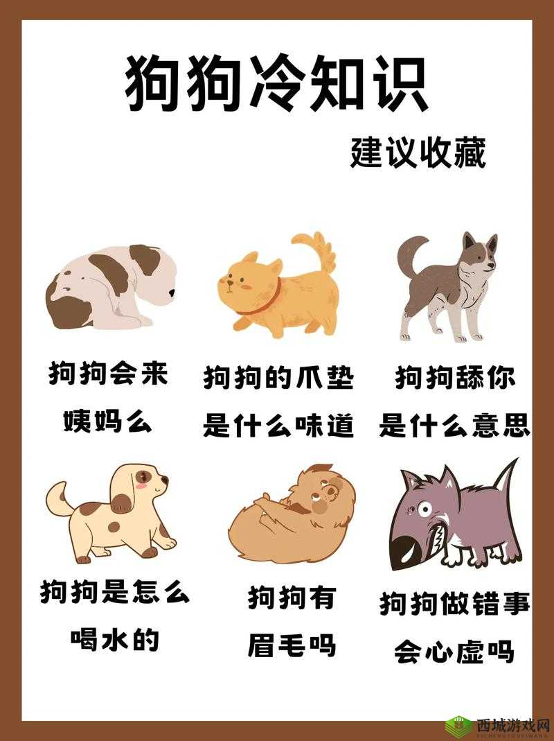 如何科学地驯养小狗(GB)?