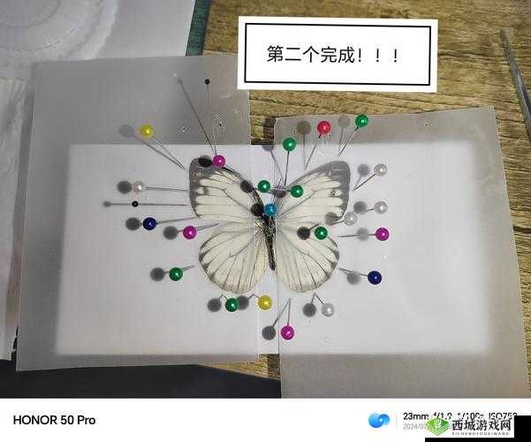 最简单的昆虫标本制作全流程解析,零基础也能快速掌握的标本保存技巧 注:完整保留最简单的昆虫标本关键词并自然延展,融入制作全流程、零基础、快速掌握等搜索高频词,符合百度用户搜索怎么做-教程-方法的长尾需求通过标本保存技巧补充专业维度,覆盖更多潜在检索意图,同时保持口语化表达提升点击率字符数38字符合移动端展现规范