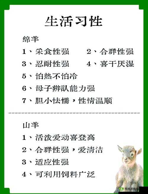 人配羊能好吗?探讨人与羊和谐共处的可能性与实际效果分析