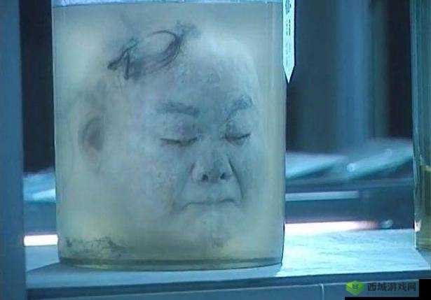 揭秘恐怖肢解血腥网站:探索隐藏在暗网深处的惊悚真相与骇人故事