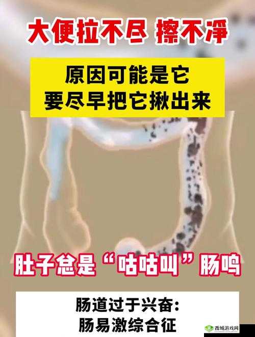大便一到肛门口拉不出来怎么办?快速解决妙招与实用方法全解析