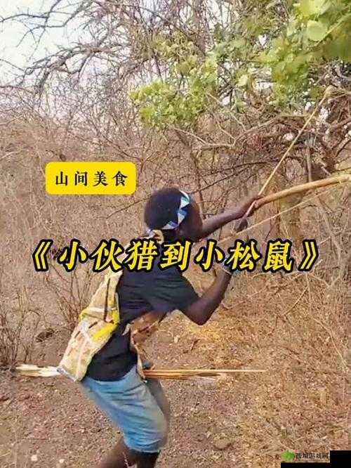 挨饿荒野帕劳群岛猎杀松鼠方法,怎么捕获松鼠