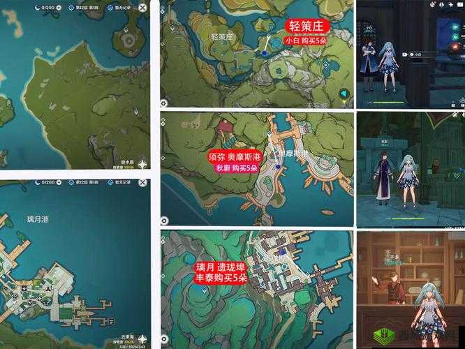 梦浮灯花瓣必看攻略!3天速刷技巧+隐藏地图掉落点大公开